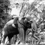 NHPhuoc_jumbo_TNien72